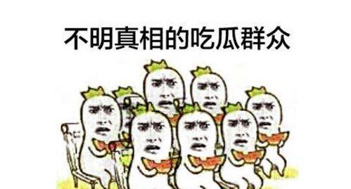 娱乐圈吃瓜群众心态崩溃,吃瓜群众心态崩溃，揭秘幕后真相