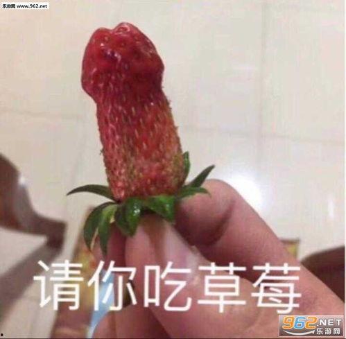 表情图吃瓜是什么意思