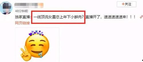 娱乐吃瓜网官网,揭秘娱乐圈最新热点，带你畅游八卦海洋